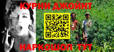 гидропоника Будённовск