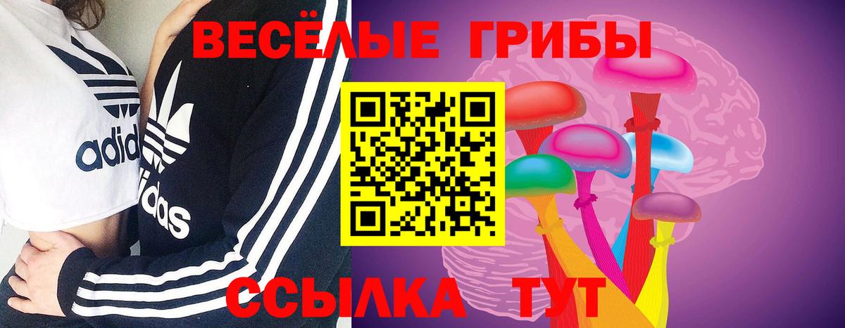 Галлюциногенные грибы Psilocybine cubensis  Вход с VPN  Лыткарино  Галлюциногенные грибы прущие грибы 